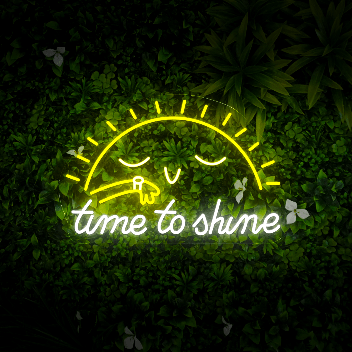 Time To Shine Neon Sign - Reels Custom