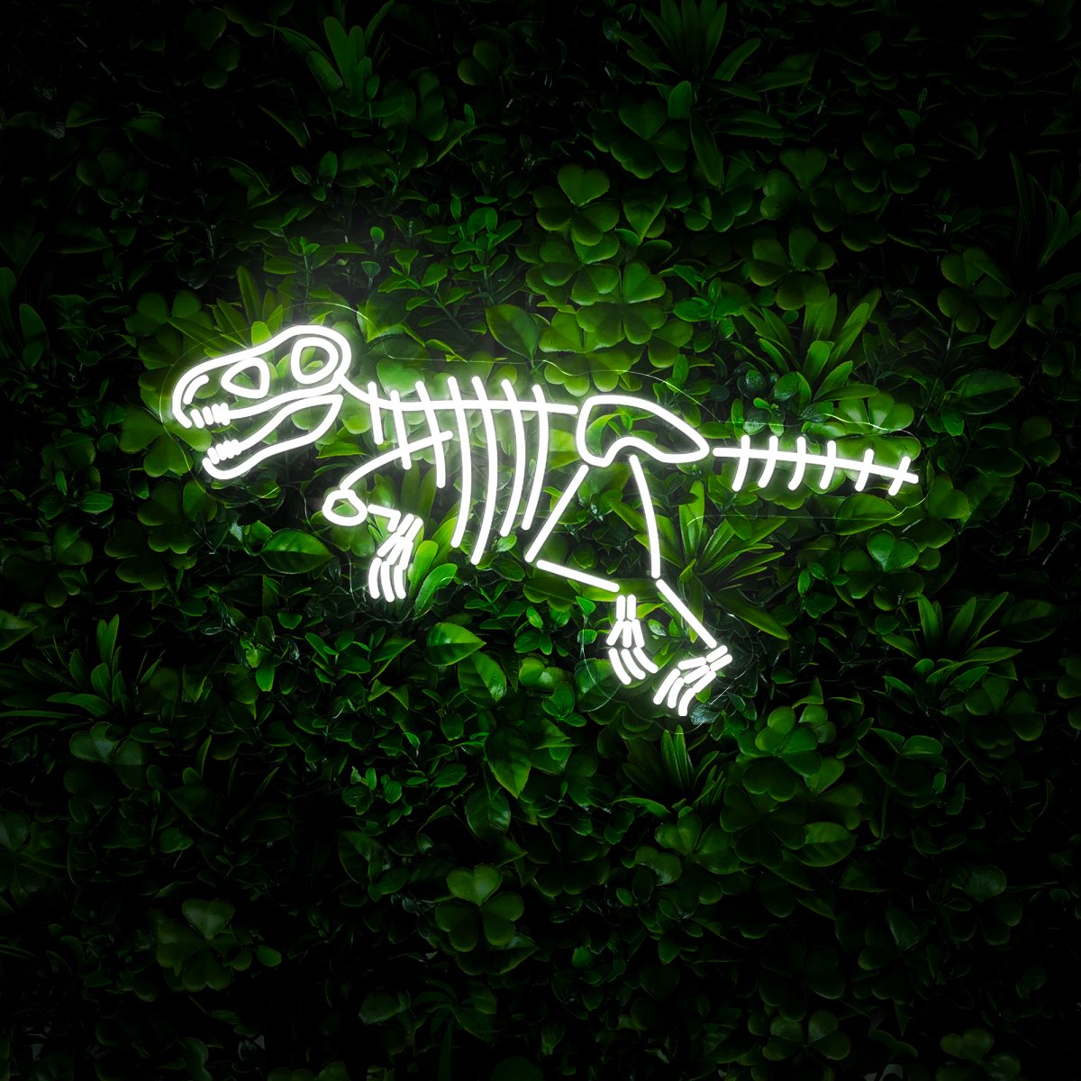 Tyrannosaurus Rex Skeleton Neon Sign - Reels Custom