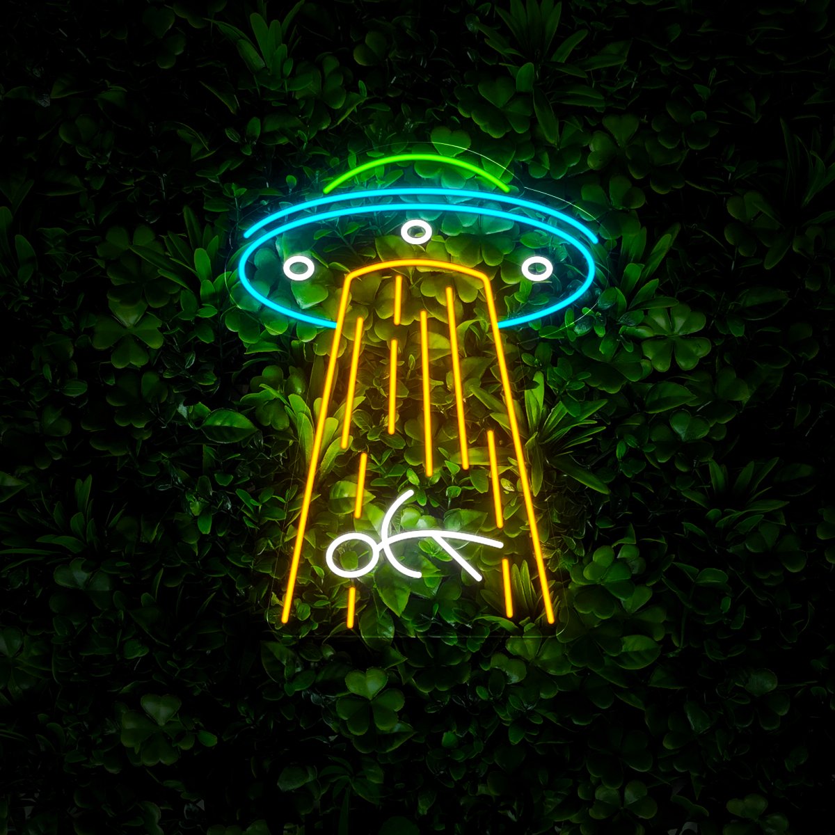 Ufo Neon Sign - Reels Custom