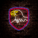 USA Bald Eagle Neon Sign - Reels Custom
