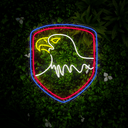 USA Bald Eagle Neon Sign - Reels Custom