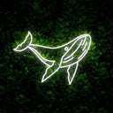 Whale Neon Sign - Reels Custom