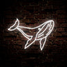 Whale Neon Sign - Reels Custom