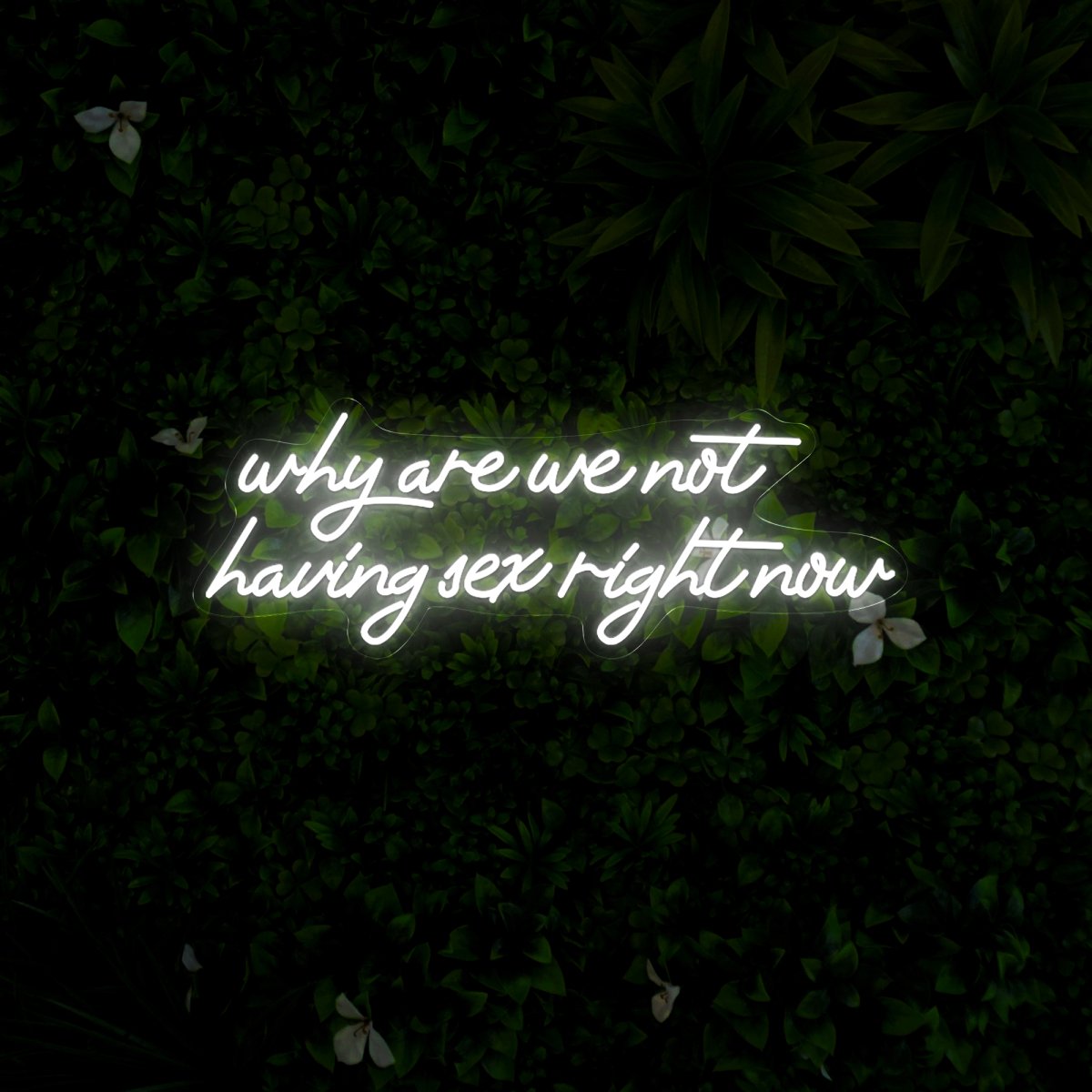 Why Are We Not Having Sex Right Now Neon Sign – Reels Custom