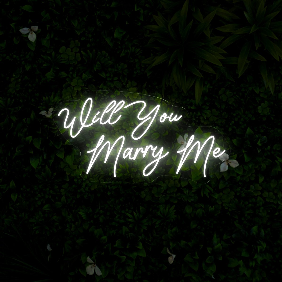 Will You Marry Me Neon Sign - Reels Custom