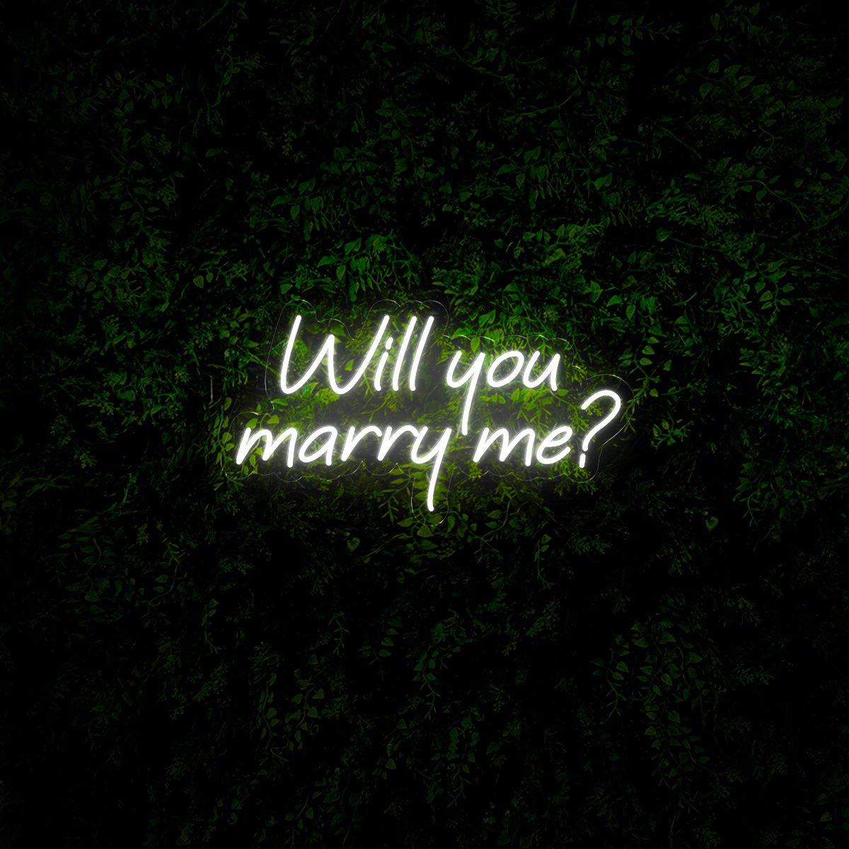 Will You Marry Me Wedding Proposal Led Neon Sign - Reels Custom