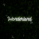 Wonderland Neon Sign - Reels Custom